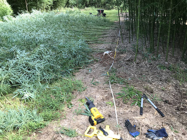 Fodder - Bamboo Farming USA