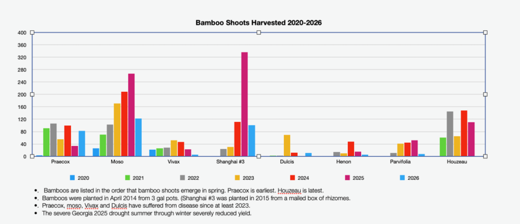 Graph of bamboo production